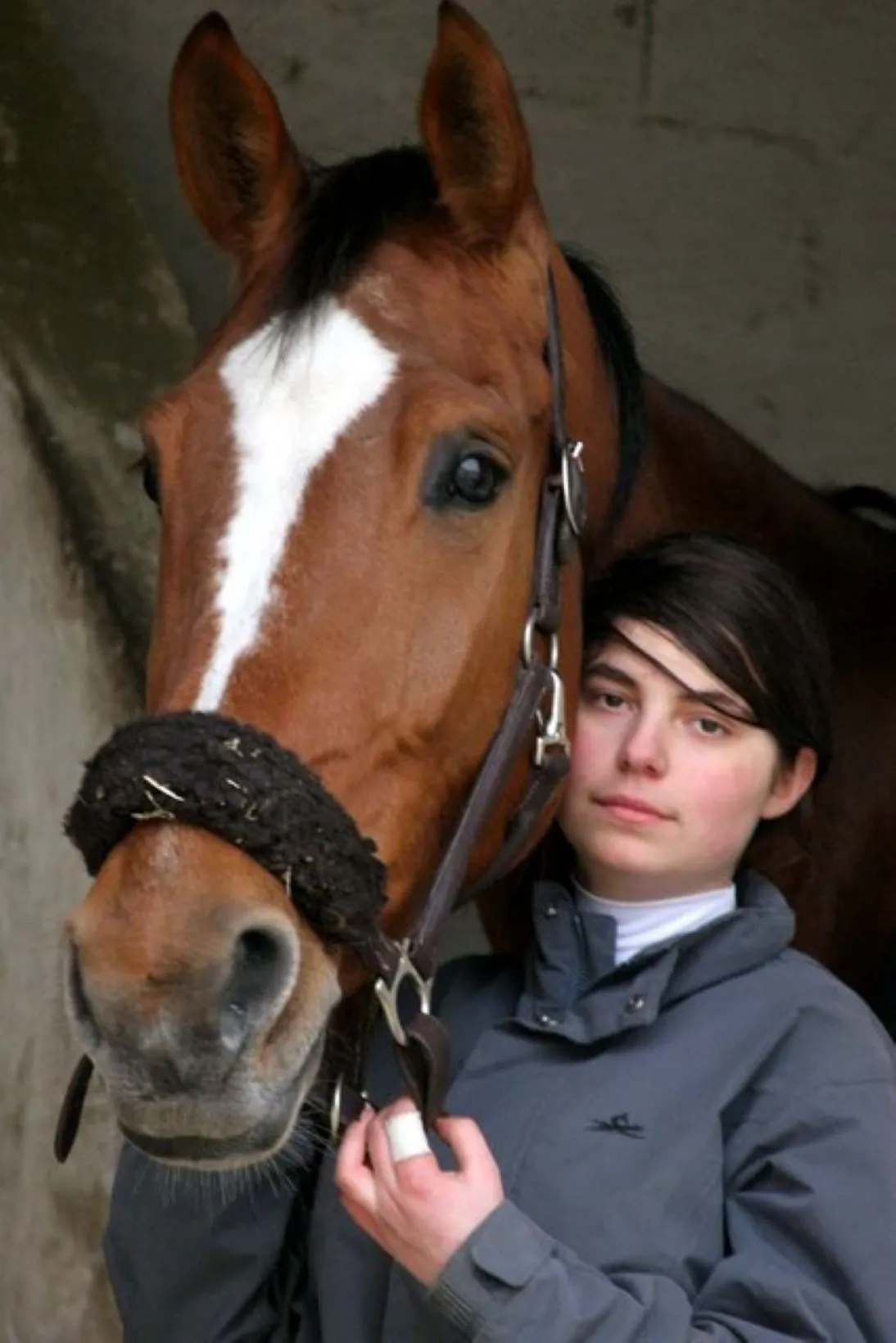 Portrait of a horse photographed outdoors