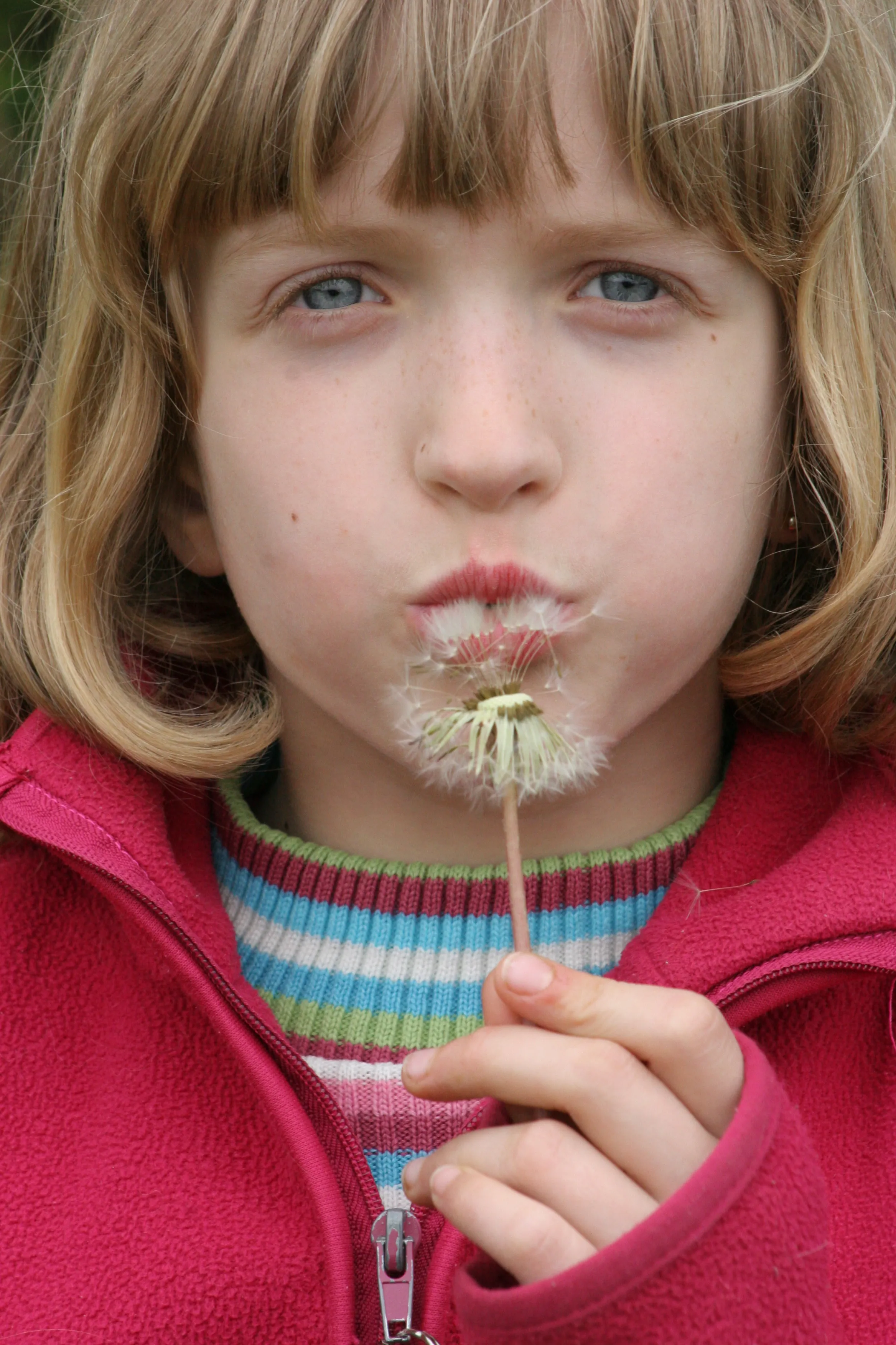 Young child holding a small flower outdoors